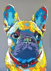 Contemporary colourful pop art print of dog by New Zealand artist Clint C, available at The Little Gallery Whangamata