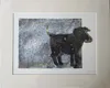 A limited edition archival print of a dog with TV static in the background by Kate Hill, available at The Little Gallery Tairua