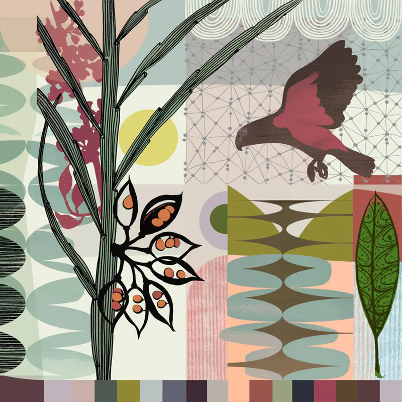 Makoro + Kaka - a Limited Edition fine art print by New Zealand artist Jane Galloway, available at The Little Gallery Tairua