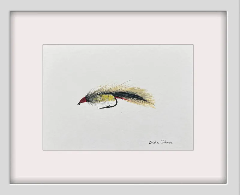 Parsons Glory Trout Fly original painting by Christina Cashmore available at The Little Gallery in Tairua