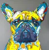 Contemporary colourful pop art print of French Bulldog by New Zealand artist Clint C, available at The Little Gallery Whangamata