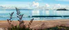 A beautiful coastal scene of Opito Bay by Jane Galloway, available at The Little Gallery Tairua
