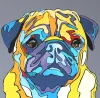 Contemporary colourful pop art print of Pug dog by New Zealand artist Clint C, available at The Little Gallery Whangamata