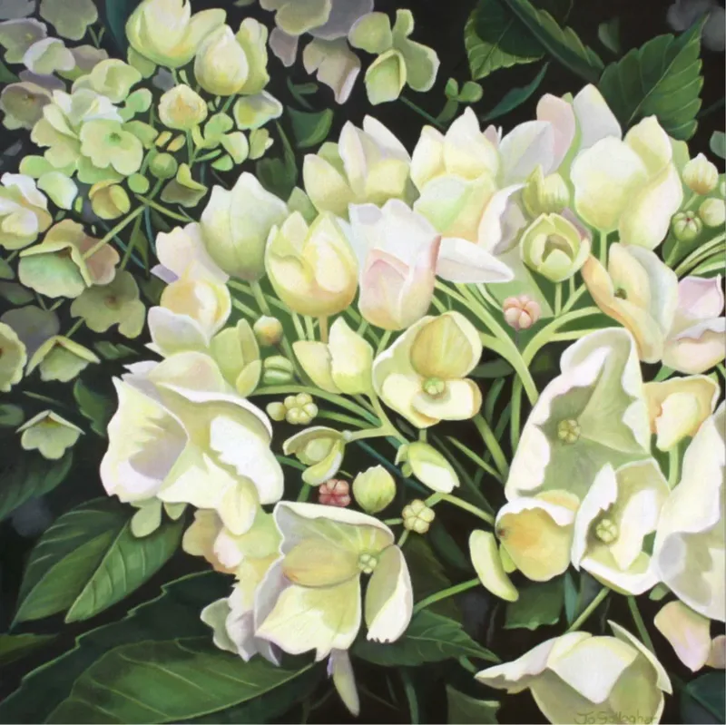 A limited edition print of flowers by Jo Gallagher, available at The Little Gallery Tairua