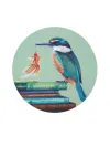 The Kingfisher: Knowledge is Power by Jo Gallagher