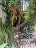 Original garden art Corten Steel Kahu bird on iron rods by Rustic Soul Sculptures, available at The Little Gallery Tairua