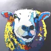 Contemporary colourful pop art print of sheep by New Zealand artist Clint C, available at The Little Gallery Whangamata