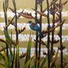 A Limited Edition fine art print of Tui and Flax by New Zealand artist Jane Galloway, available at The Little Gallery Tairua