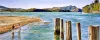 A Limited Edition fine art print of Whitianga estuary by New Zealand artist Jane Galloway, available at The Little Gallery Whangamata