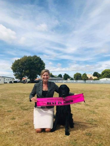 Our New Champion - Bugsy does it style - Wanganui Districts Gundog Best In Show  