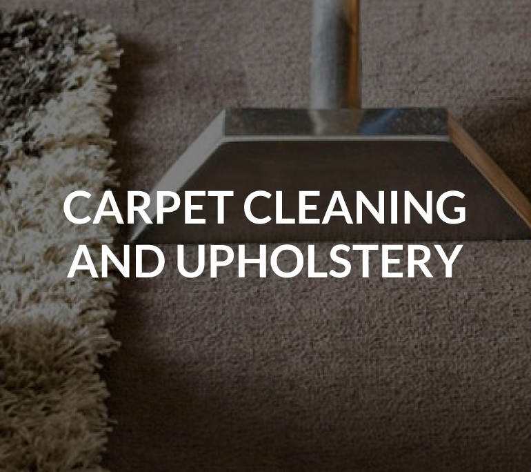 Nelson carpet cleaners, upholstery cleaning, WOW Carpet Cleaning Richmond, Motueka